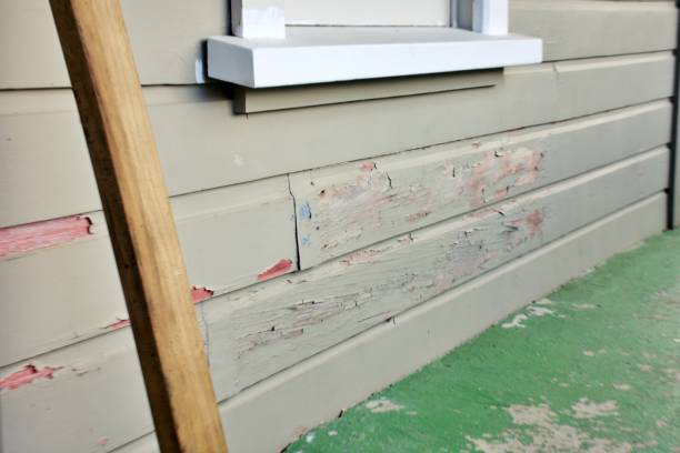 Best Composite Siding  in USA